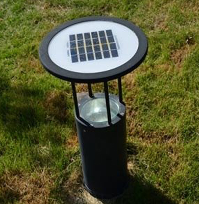 老街街道草坪灯